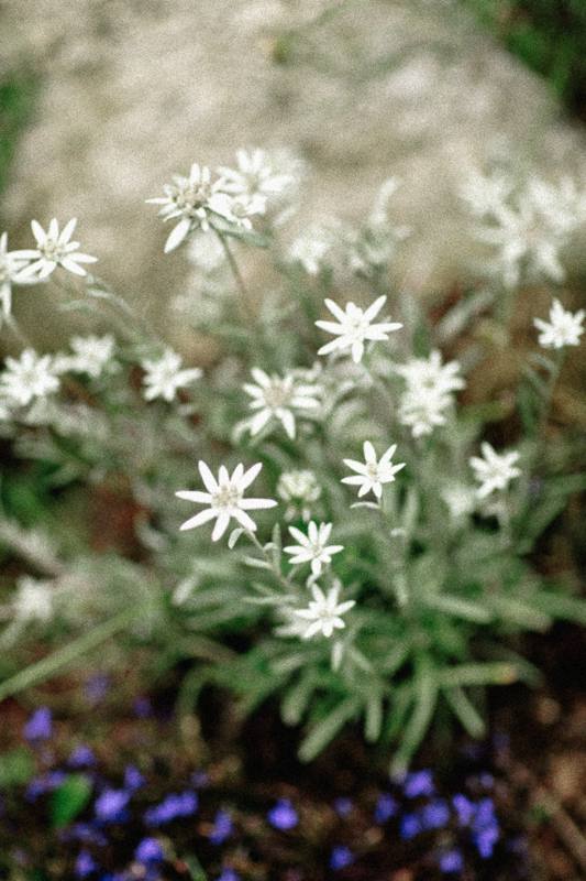 Organizzazione Matrimoni Torino, Langhe, Piemonte – Coquette Atelier
