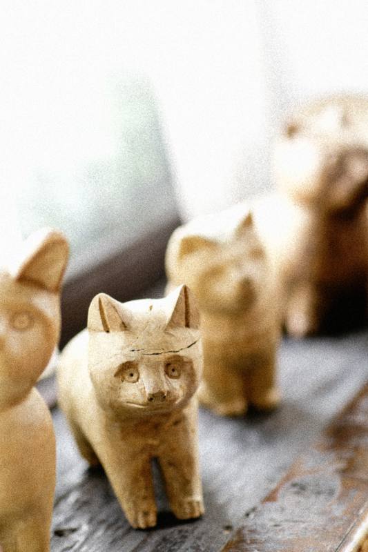 Organizzazione Matrimoni Torino, Langhe, Piemonte – Coquette Atelier