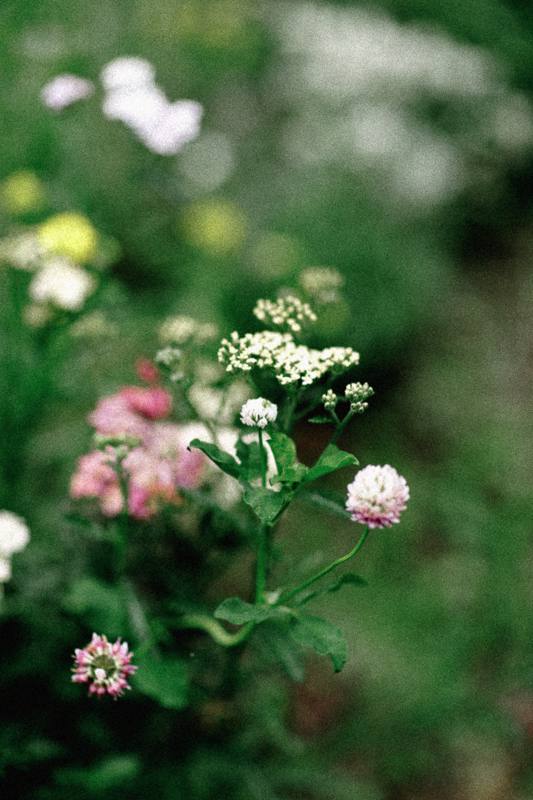 Organizzazione Matrimoni Torino, Langhe, Piemonte – Coquette Atelier